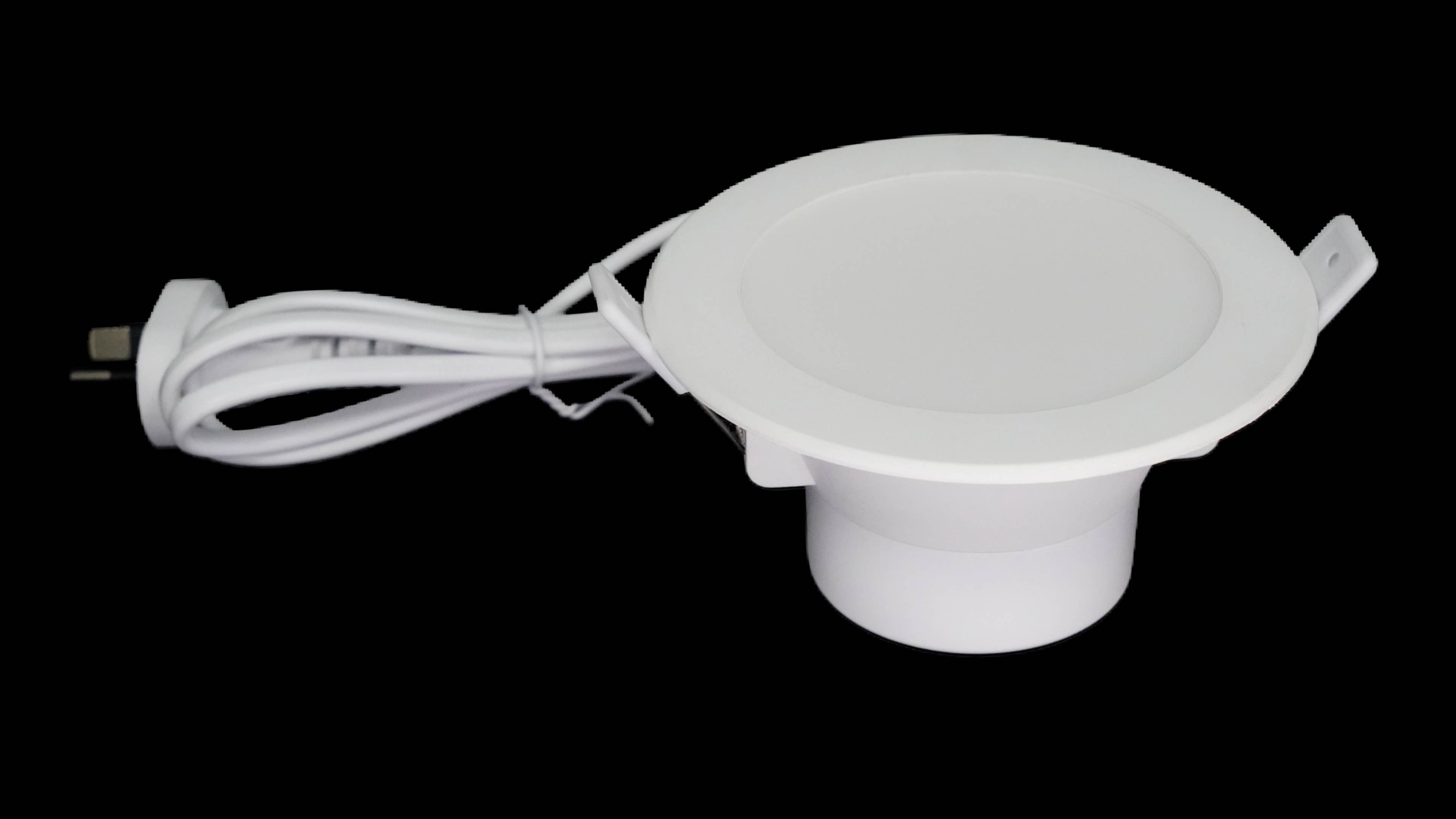Downlight 1
