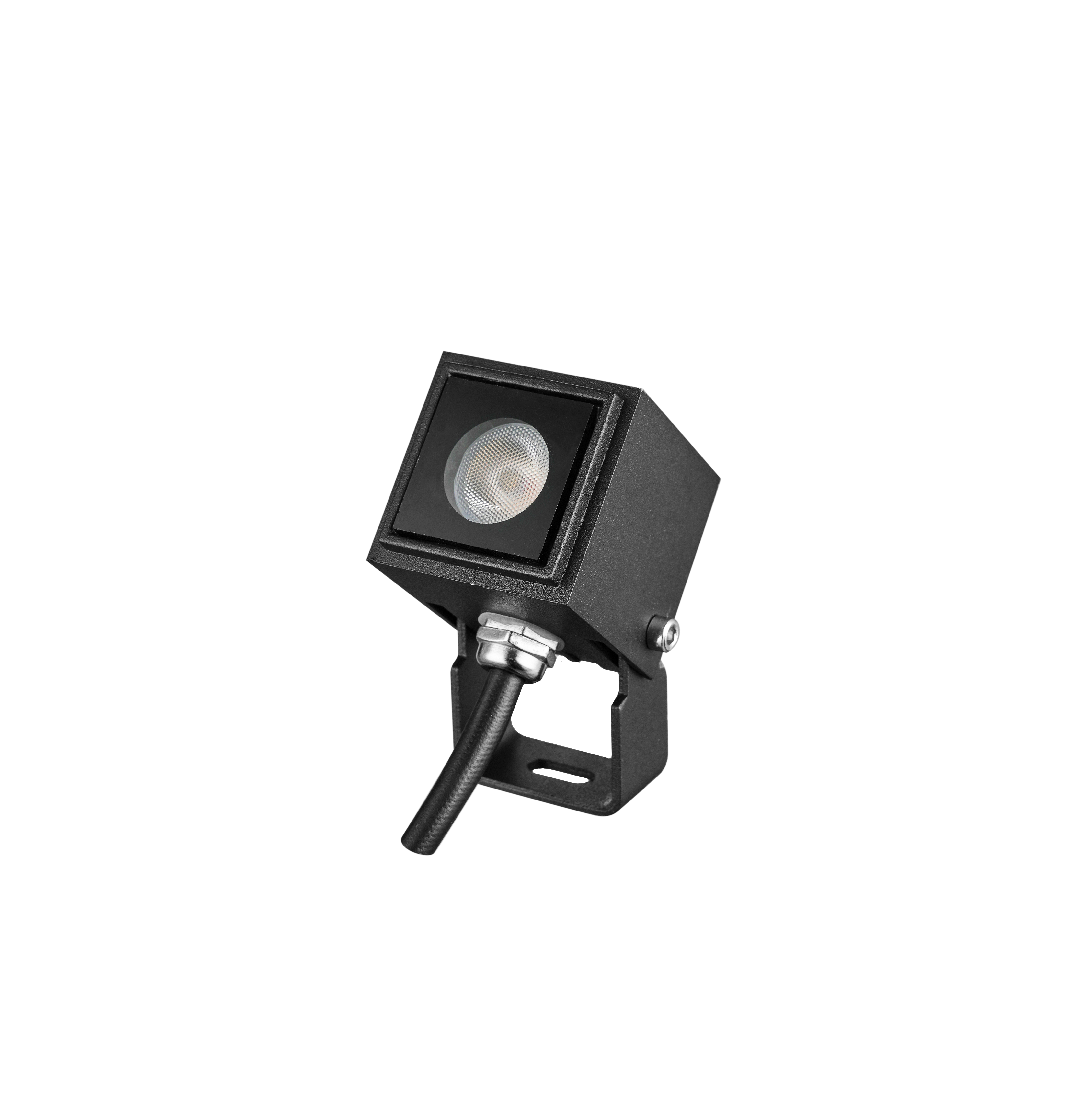 Flood Light 2