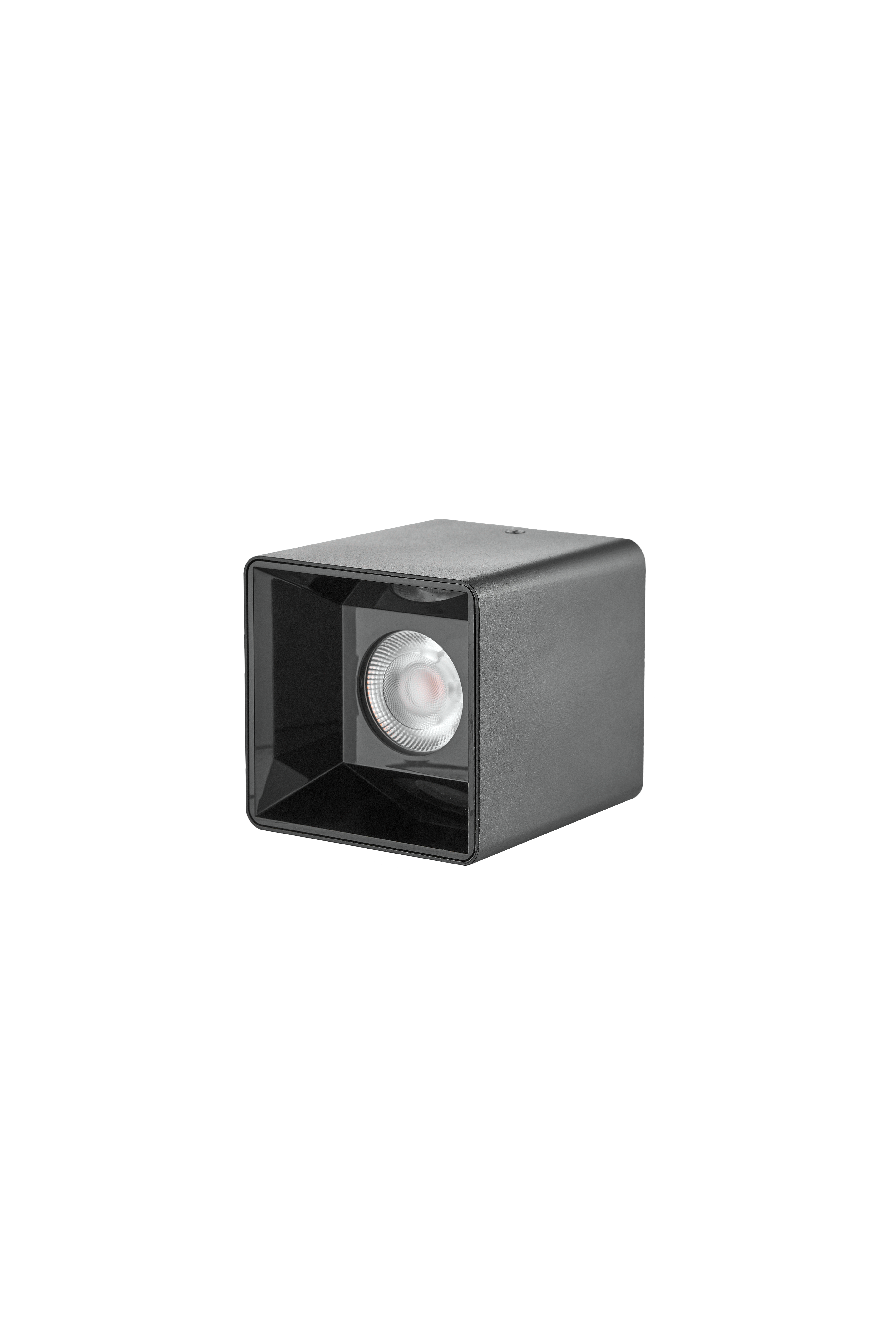 Surface Mounted Downlight 1