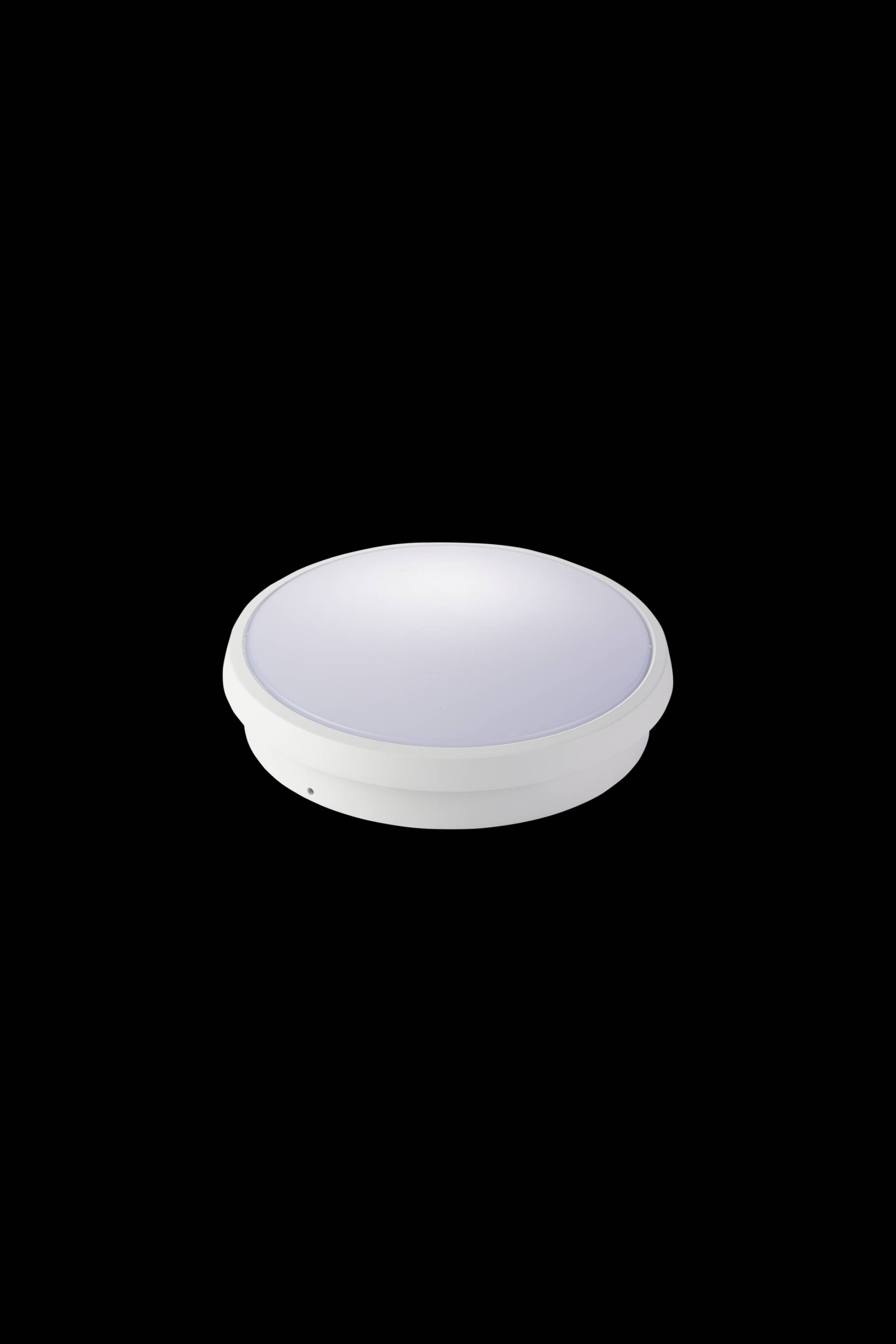 Ceiling Light 1