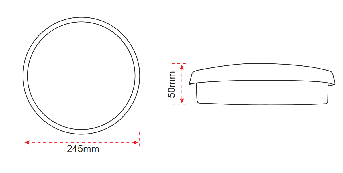 Ceiling Light 2