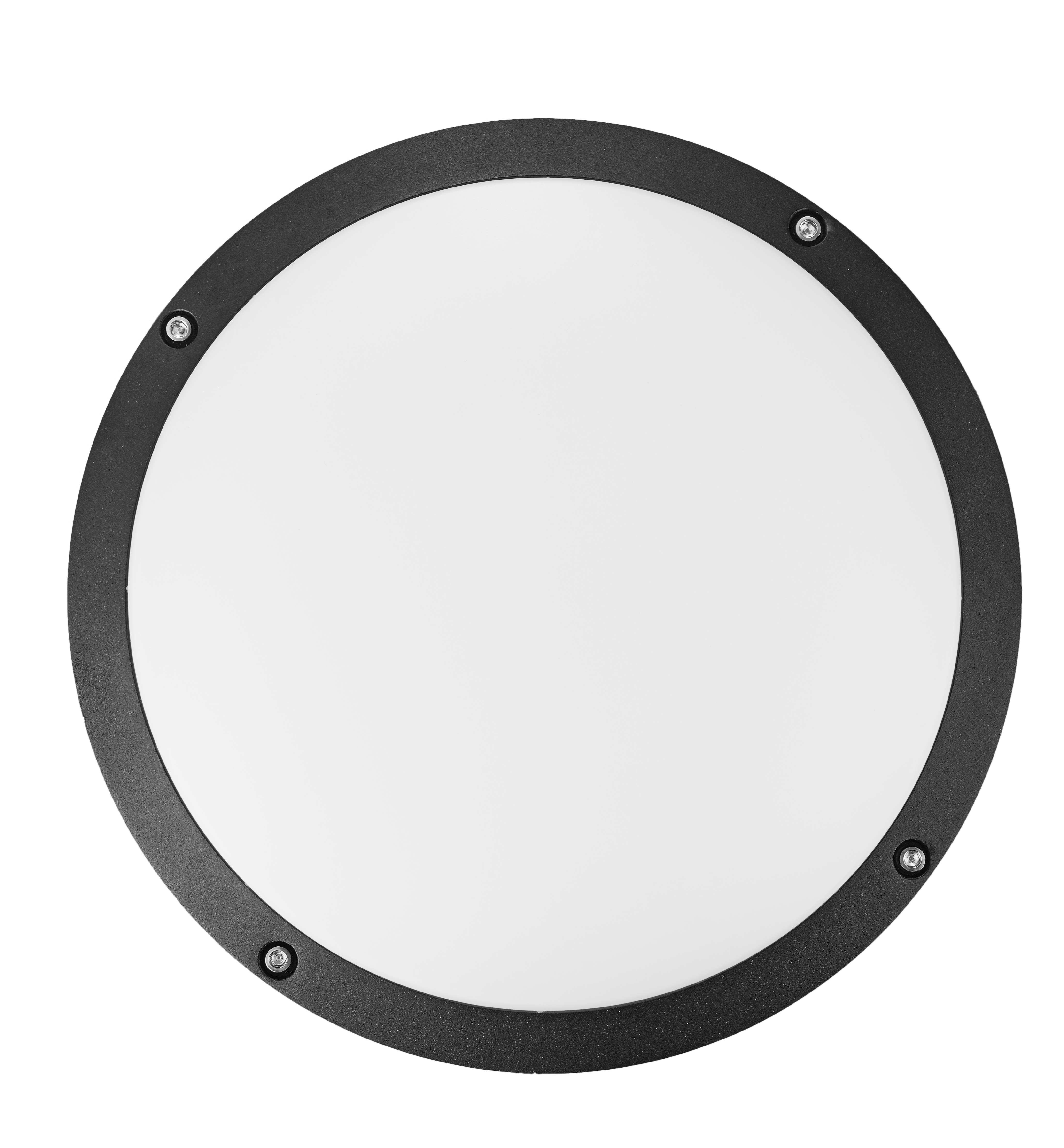 Wall Light 1